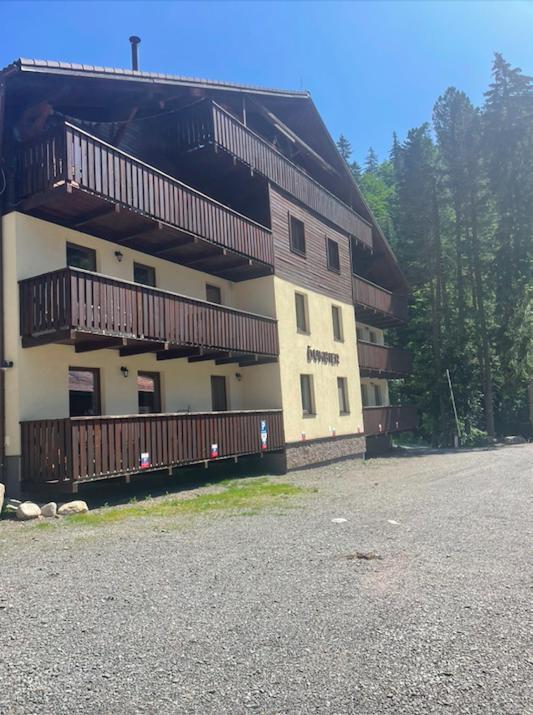 Apartment Anna Chopok, 1 110 M, Highest In Central Europe, On A Hiking Trail To Dumbier Demänovská Dolina Esterno foto